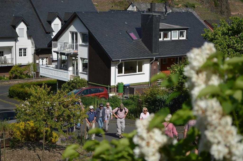 Weingut Im Moselkrampen Διαμέρισμα Ellenz-Poltersdorf Εξωτερικό φωτογραφία