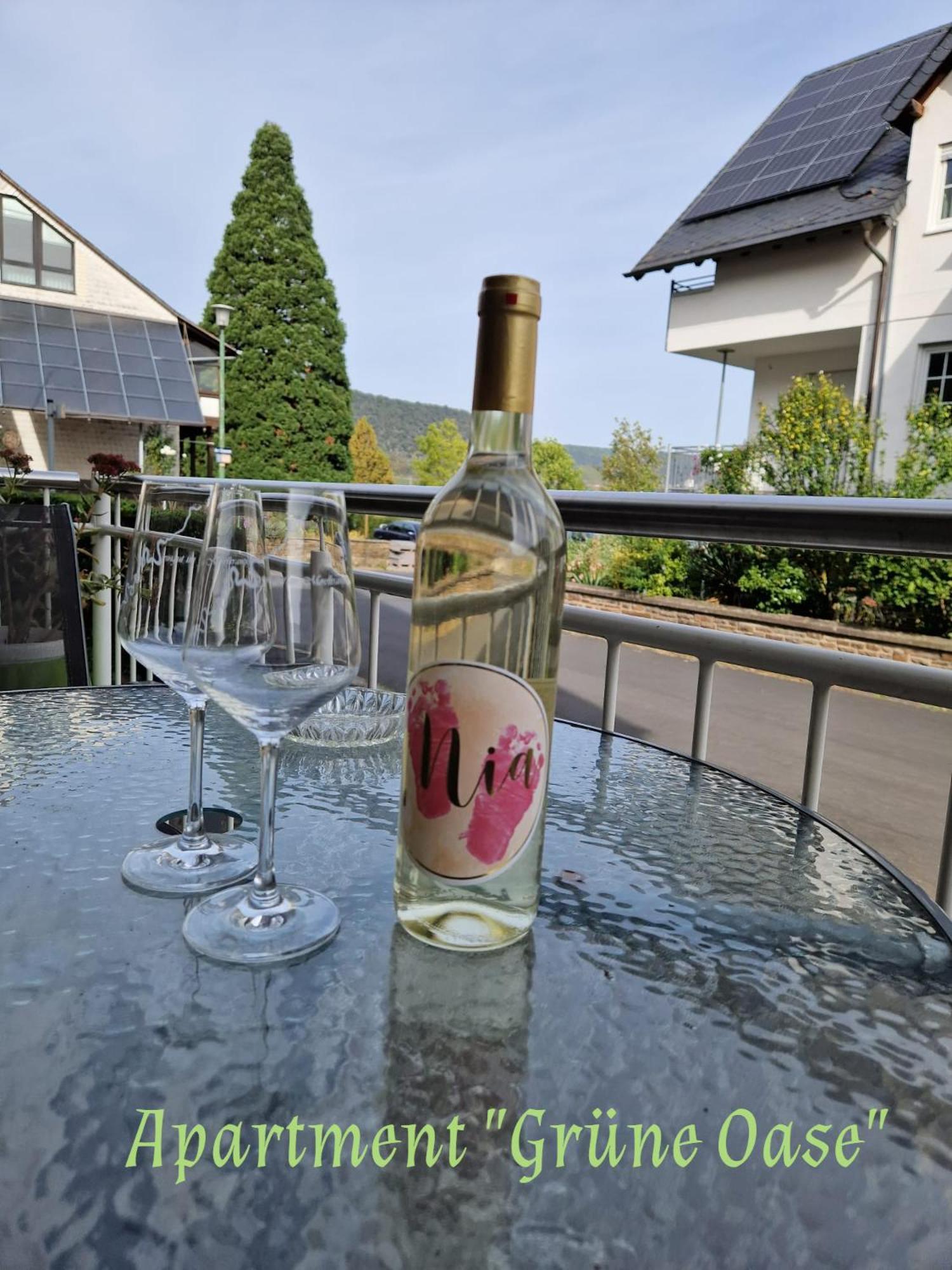 Weingut Im Moselkrampen Διαμέρισμα Ellenz-Poltersdorf Εξωτερικό φωτογραφία
